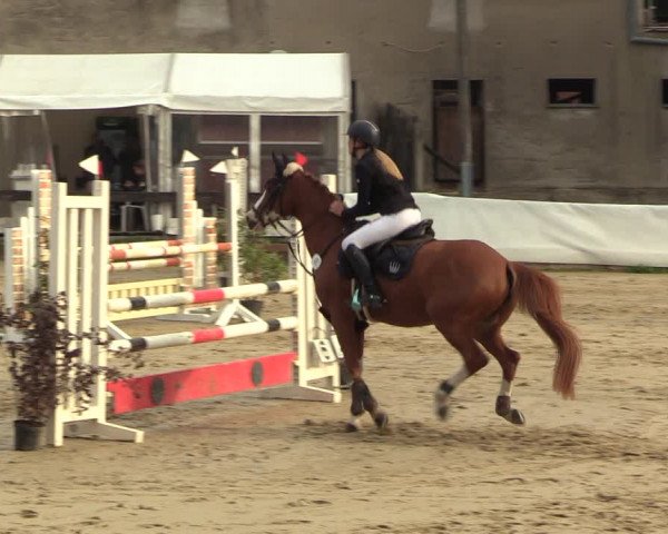 Reitturnier Buchenhof-Ibbenbüren 2023