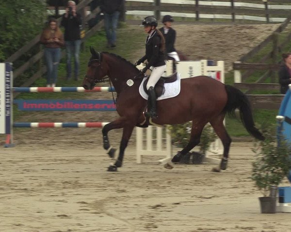 Reitturnier Buchenhof-Ibbenbüren 2023