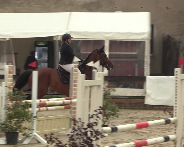 Reitturnier Buchenhof-Ibbenbüren 2023