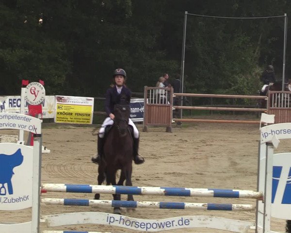 Reitturnier Albersloh 2023