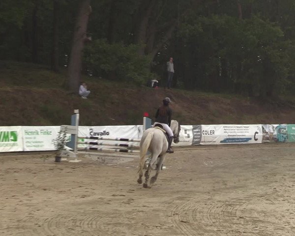 Reitturnier Albersloh 2023