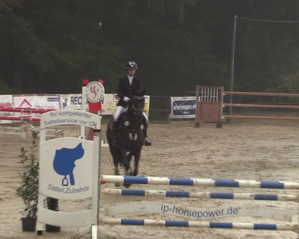 Reitturnier Albersloh 2023