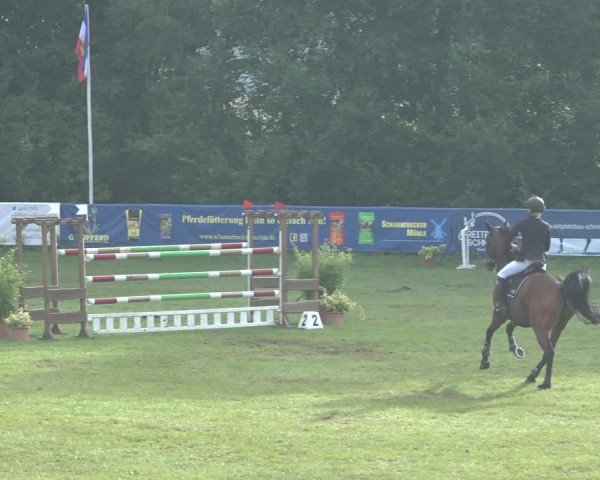 Reitturnier Scharnebeck 2023