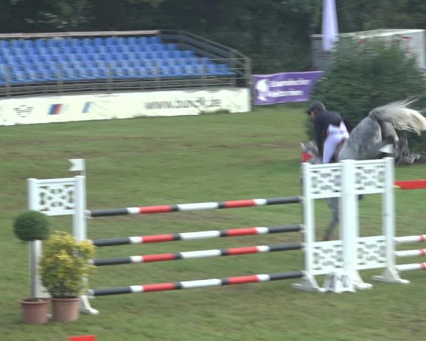 Reitturnier Scharnebeck 2023