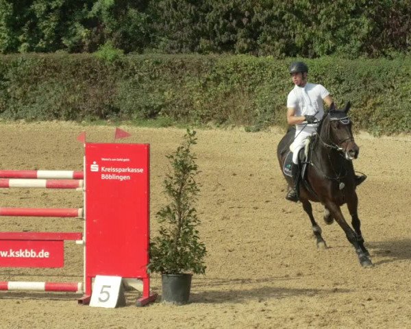 Reitturnier Böblingen 2021