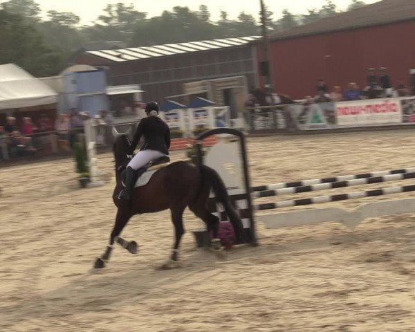 Reitturnier Marl, Hof Ostgathe 2023