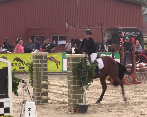 Reitturnier Marl, Hof Ostgathe 2023