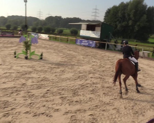 Reitturnier Marl, Hof Ostgathe 2023