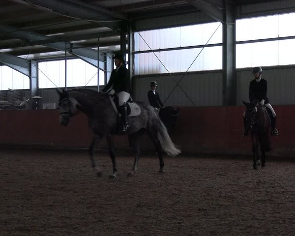 Reitturnier Marl, Hof Ostgathe 2023