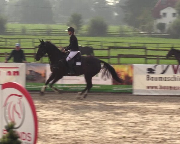 Reitturnier Marl, Hof Ostgathe 2023