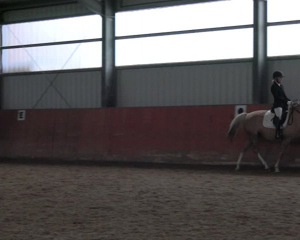 Reitturnier Marl, Hof Ostgathe 2023