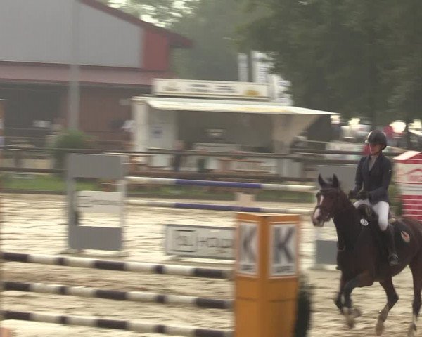Reitturnier Albersloh 2023