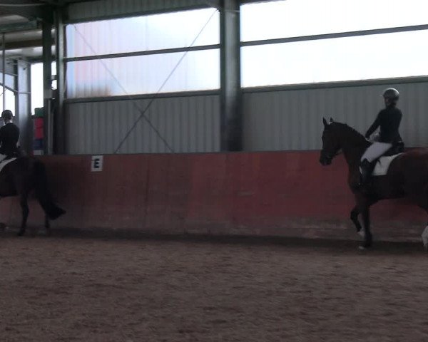 Reitturnier Marl, Hof Ostgathe 2023