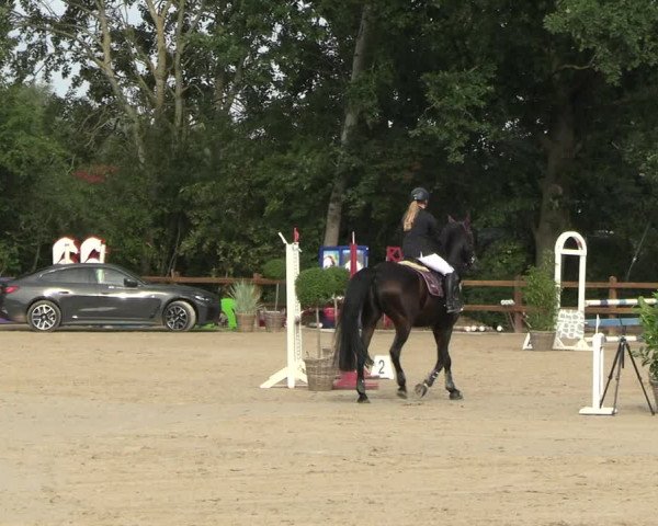 Reitturnier Scharnebeck 2023
