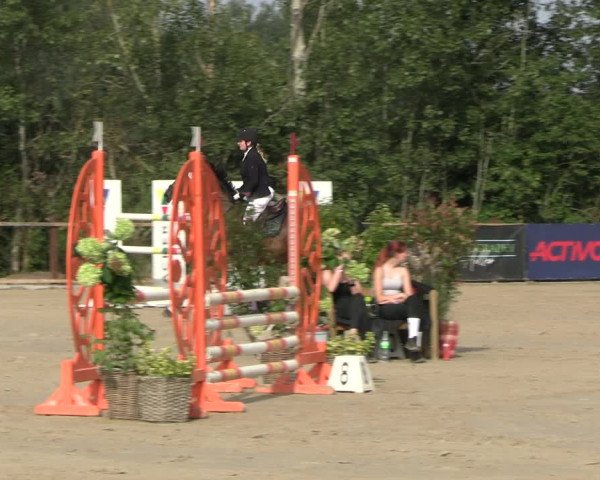 Reitturnier Scharnebeck 2023
