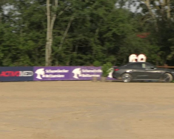 Reitturnier Scharnebeck 2023