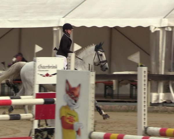 Reitturnier Buchenhof-Ibbenbüren 2023