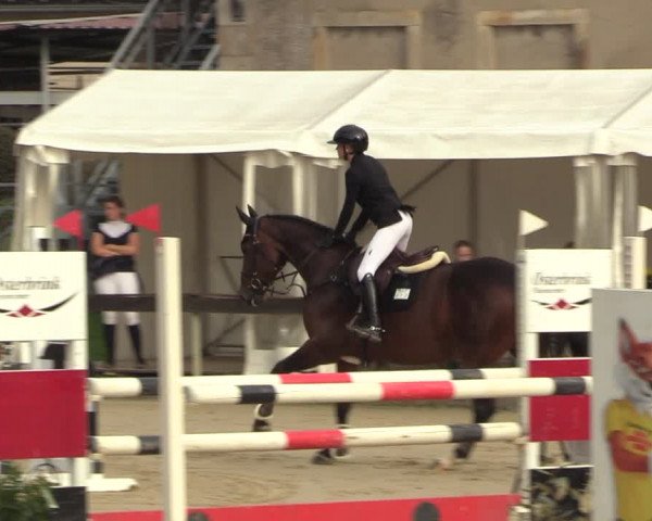 Reitturnier Buchenhof-Ibbenbüren 2023