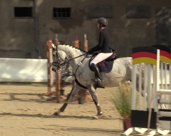 Reitturnier Buchenhof-Ibbenbüren 2023