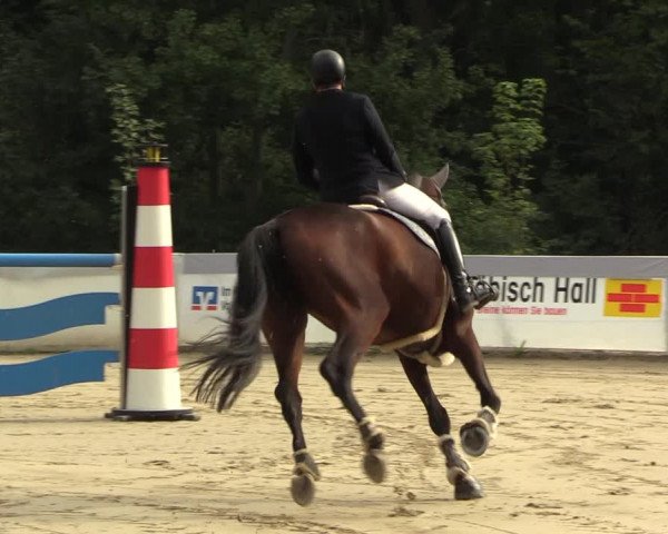 Reitturnier Buchenhof-Ibbenbüren 2023