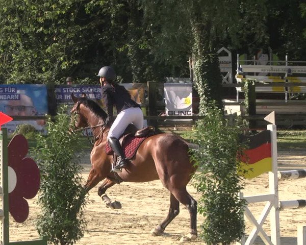 Springturnier Walldorf/Winterheck 2021