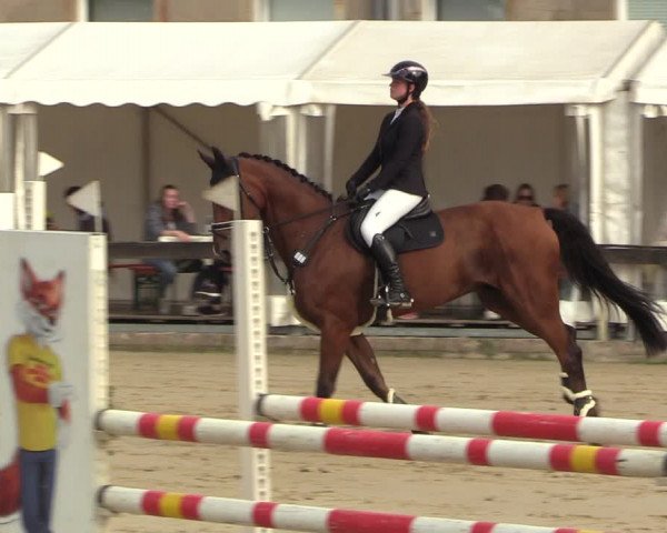 Reitturnier Buchenhof-Ibbenbüren 2023