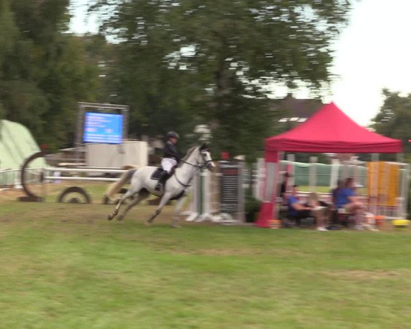Reitturnier Altmittweida 2023