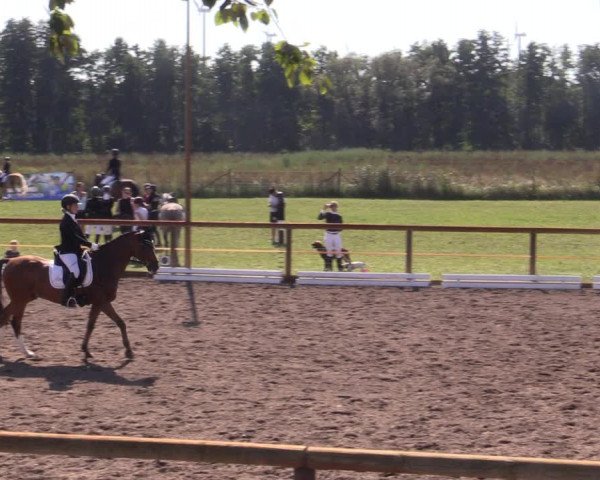 Reitturnier Lübbenau / Groß Klessow 2023