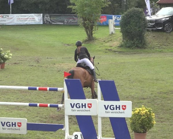 Reitturnier Scharnebeck 2023