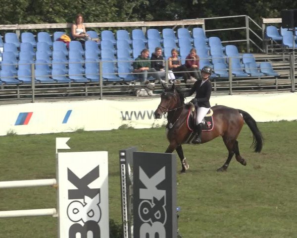 Reitturnier Scharnebeck 2023