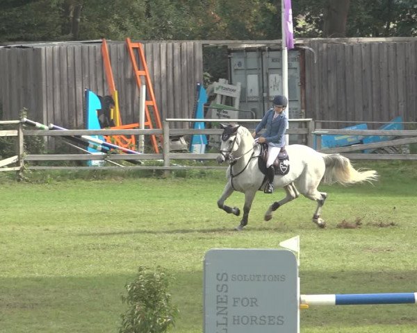 Reitturnier Scharnebeck 2023