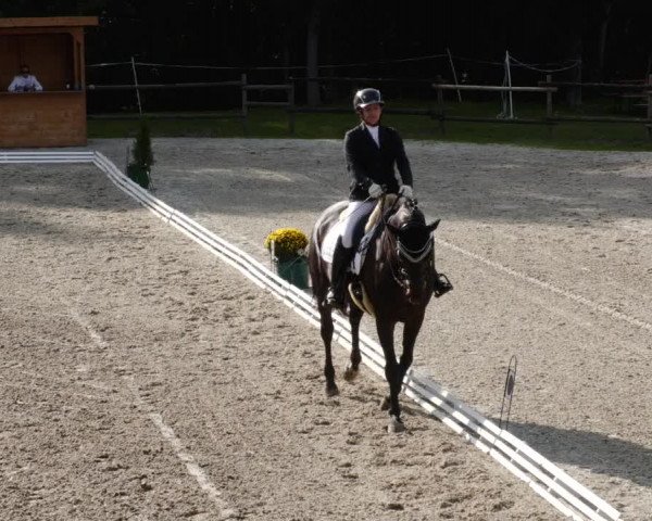 Reitturnier Ditzingen 2023