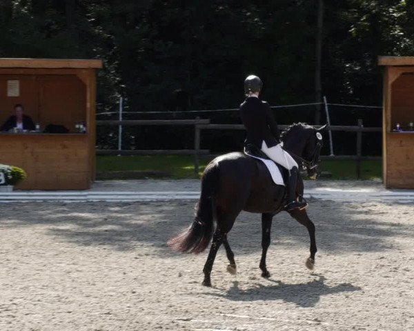 Reitturnier Ditzingen 2023