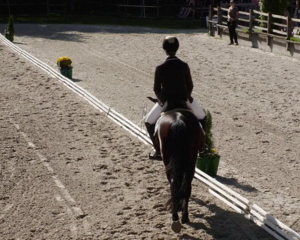 Reitturnier Ditzingen 2023
