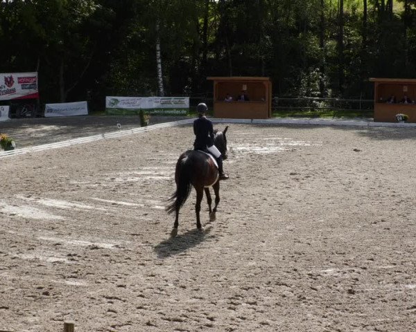Reitturnier Ditzingen 2023