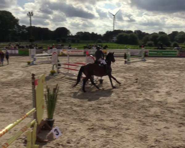 Reitturnier Marl, Hof Ostgathe 2023