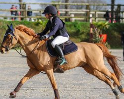 jumper Calva des Etisses (French Pony, 2012, from Snoopy des Etisses)
