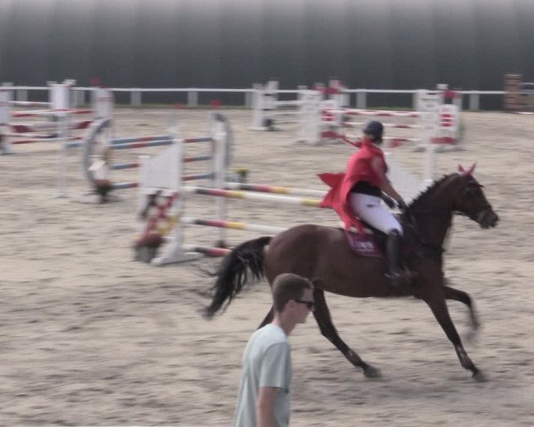 Reitturnier Bad Schmiedeberg 2023