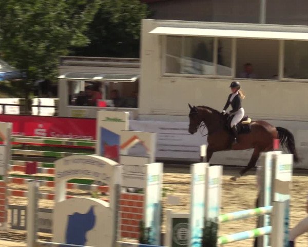 Reitturnier Albersloh 2023