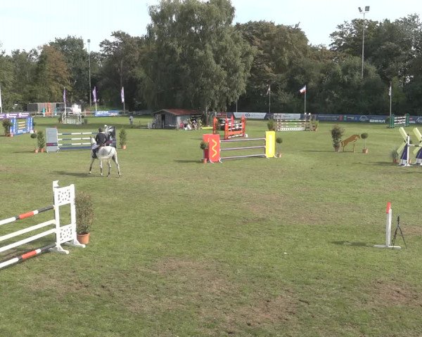 Reitturnier Scharnebeck 2023