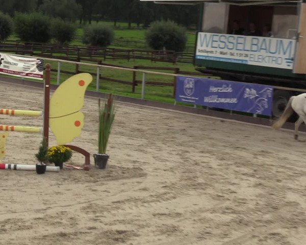 Reitturnier Marl, Hof Ostgathe 2023