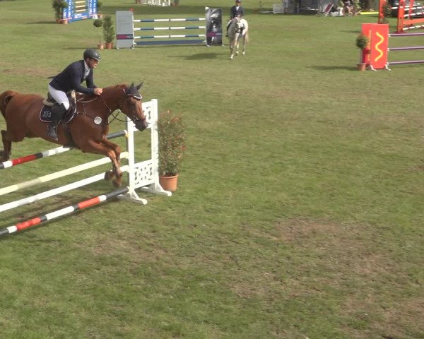 Reitturnier Scharnebeck 2023