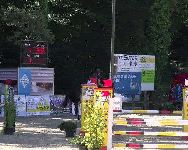 Reitturnier Sins 2023
