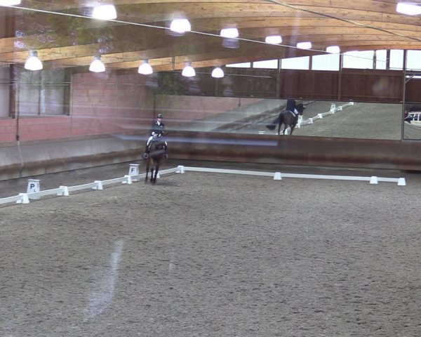 Dressurturnier mit Hallenchampionat Tremsdorf, Eichenhof 2021