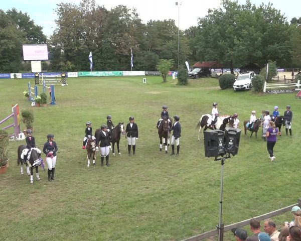Reitturnier Scharnebeck 2023