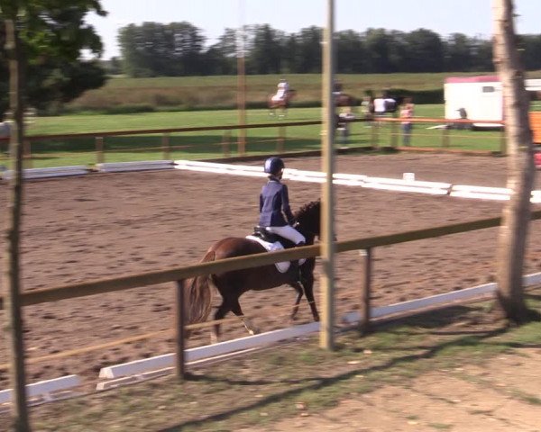 Reitturnier Lübbenau / Groß Klessow 2023