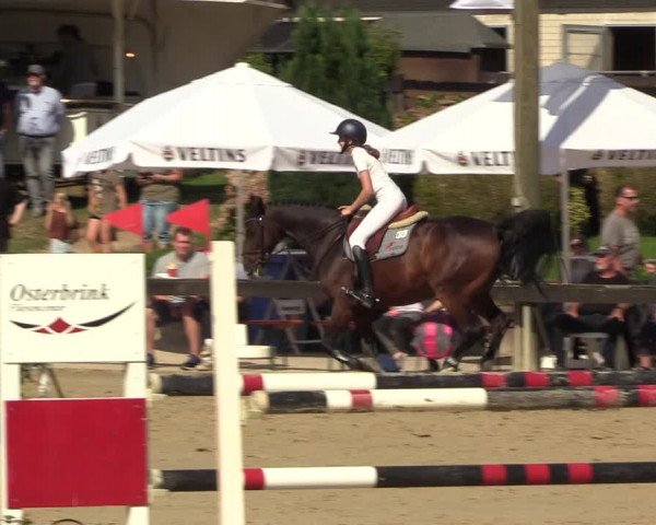 Reitturnier Buchenhof-Ibbenbüren 2023