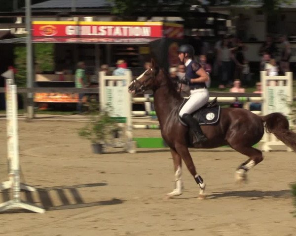 Reitturnier Buchenhof-Ibbenbüren 2023