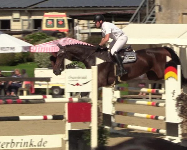 Reitturnier Buchenhof-Ibbenbüren 2023