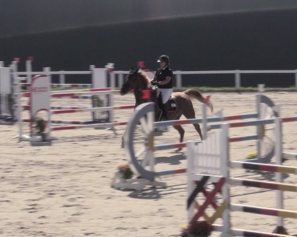 Reitturnier Bad Schmiedeberg 2023